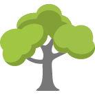 Tempe Tree Trimming