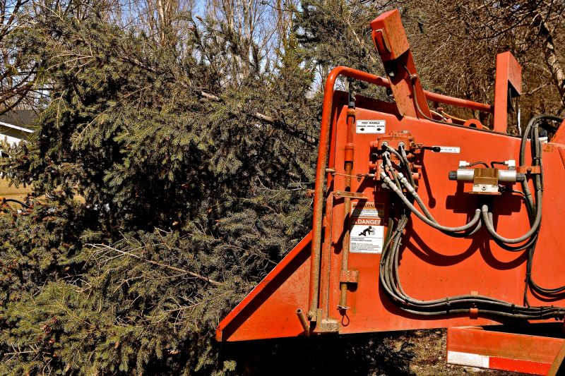 Equipment for Tree Trimming